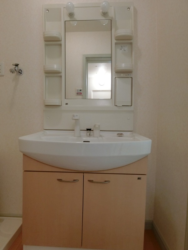 ��ʌ�����s�厚�ΐ_�̃A�p�[�g�̐��ʏ�