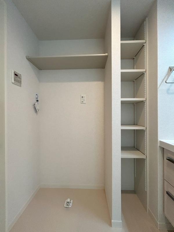 ��ʌ��������܎s��{��O���P���ڂ̃}���V�����̂��̑�