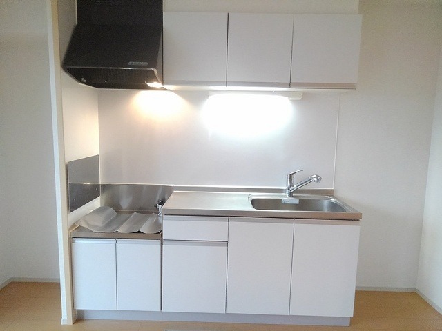 ��ʌ��z�J�s���C�N�^�E���Q���ڂ̃A�p�[�g�̃L�b�`��