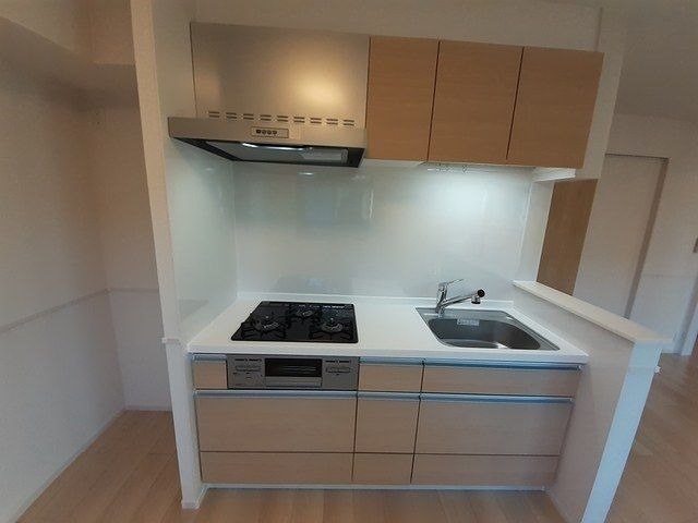 ��ʌ�����s�O�c�a�Q���ڂ̃A�p�[�g�̃L�b�`��