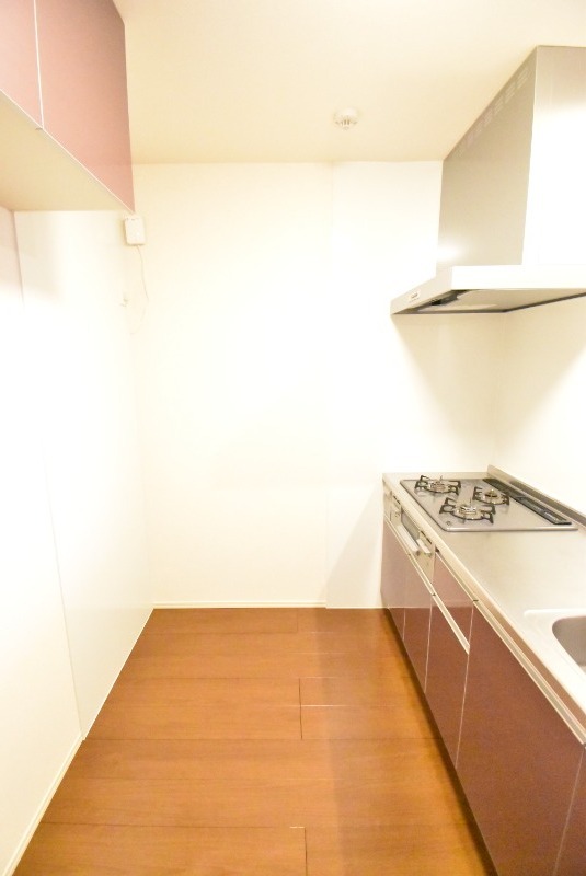 ��ʌ��z�J�s���C�N�^�E���V���ڂ̃A�p�[�g�̃L�b�`��