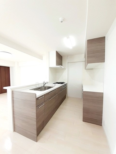 ��ʌ��������܎s��΋�������Q���ڂ̃}���V�����̃L�b�`��