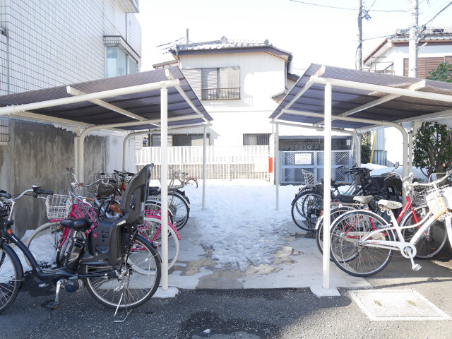 ��ʌ�����s�厚�����̃}���V�����̂��̑�