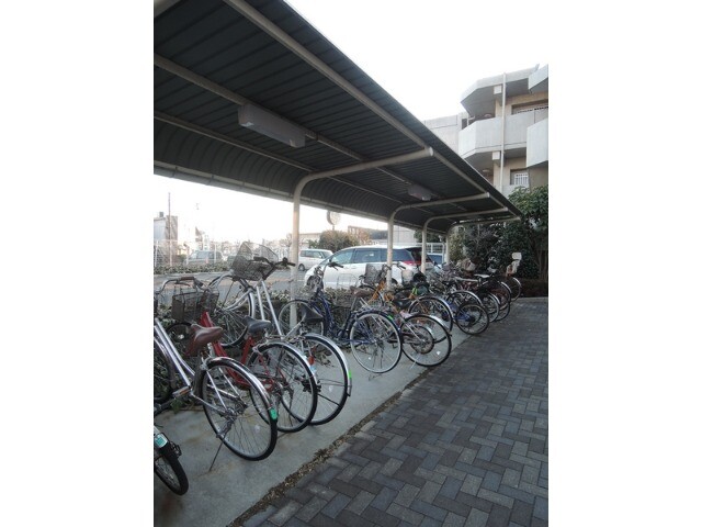 ��ʌ�����s������S���ڂ̃}���V�����̂��̑�