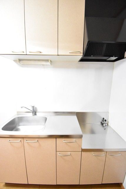 ��ʌ�����s�厚���̃A�p�[�g�̃L�b�`��