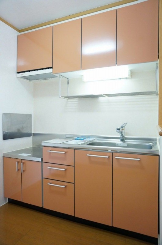 ��ʌ��������܎s����厚��v�ۗ̉Ƃ̃A�p�[�g�̃L�b�`��