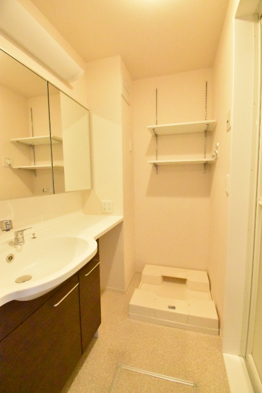 ��ʌ��z�J�s���C�N�^�E���V���ڂ̃A�p�[�g�̐��ʏ�