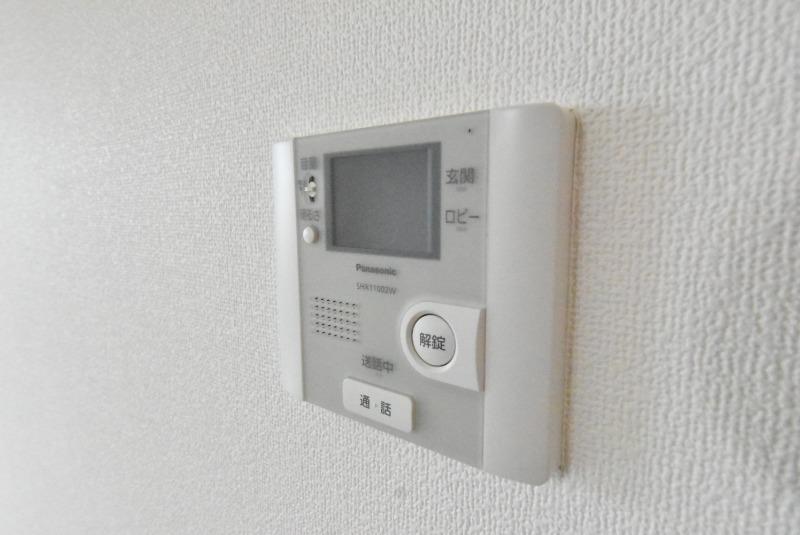 ��ʌ�����s������S���ڂ̃}���V�����̂��̑�