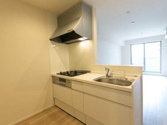 ��ʌ�����s�����R���ڂ̃}���V�����̃L�b�`��