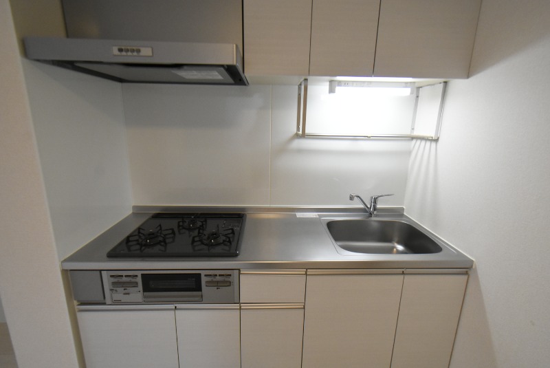 ��ʌ��z�J�s�k�z�J�Q���ڂ̃A�p�[�g�̃L�b�`��