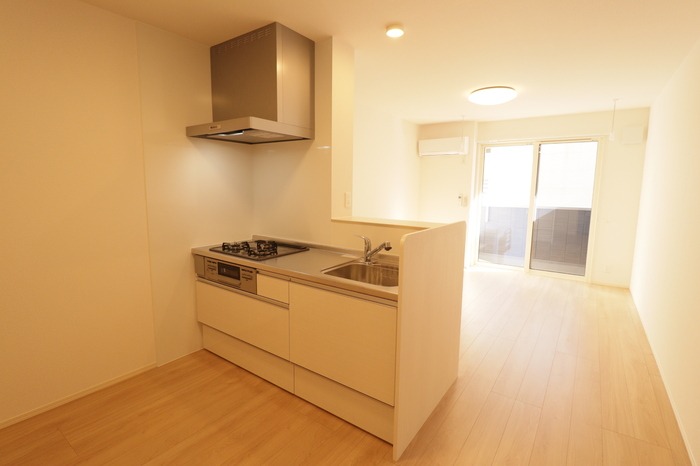 ��ʌ��z�J�s���C�N�^�E���U���ڂ̃A�p�[�g�̃L�b�`��