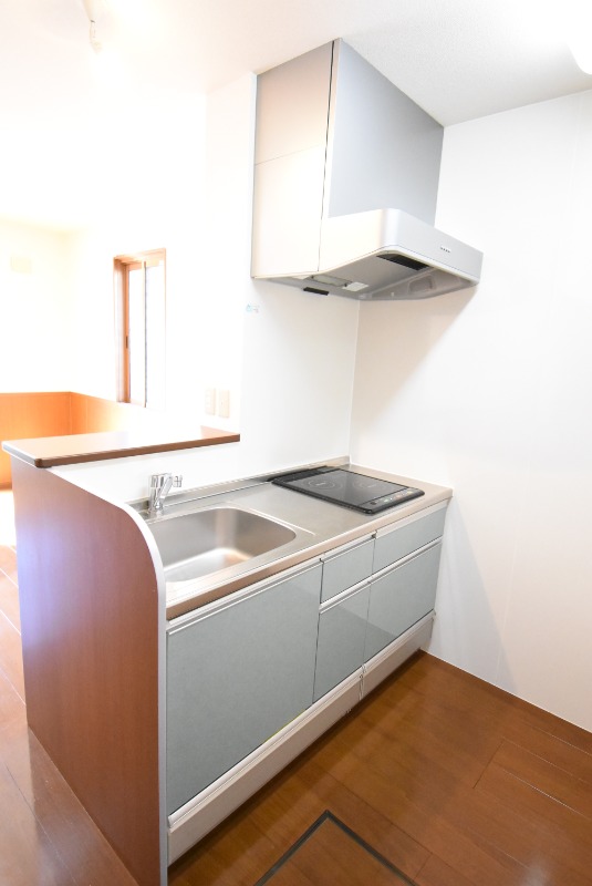 ��ʌ��������܎s����厚�w��̕ʏ��̃A�p�[�g�̃L�b�`��