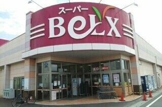 ��ʌ��z�J�s�V�z�J�Q���ڂ̃}���V�����̎���