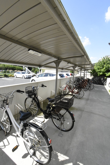 ��ʌ��������܎s�k��{�����̃}���V�����̂��̑�