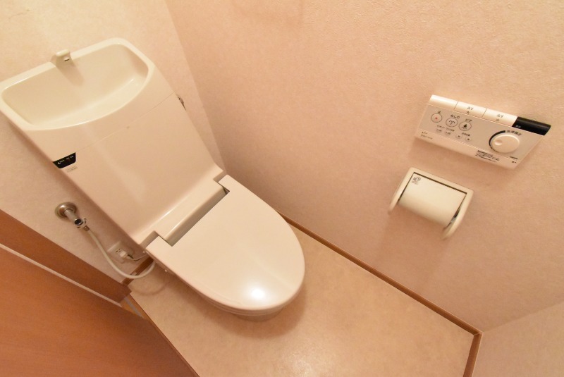 ��ʌ��z�J�s���������̃}���V�����̃g�C��