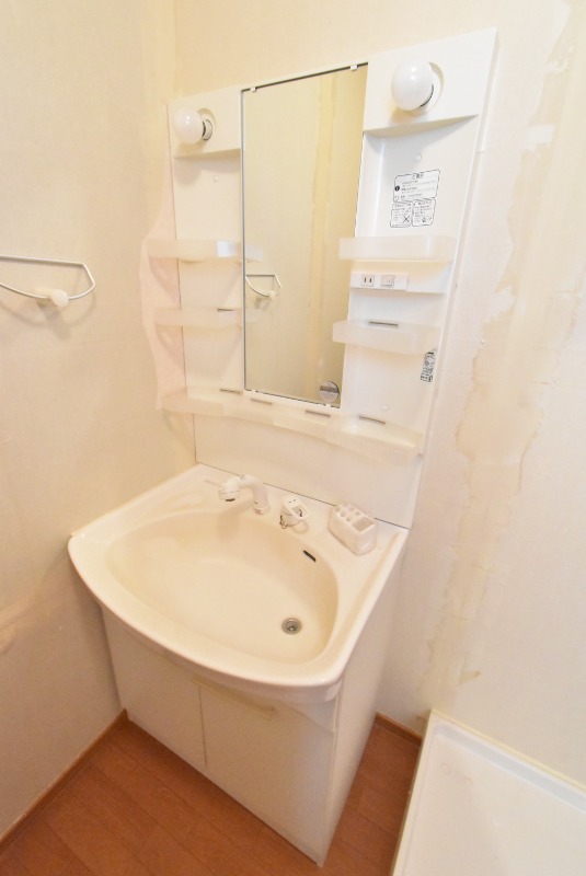 ��ʌ��z�J�s���������̃}���V�����̐��ʏ�