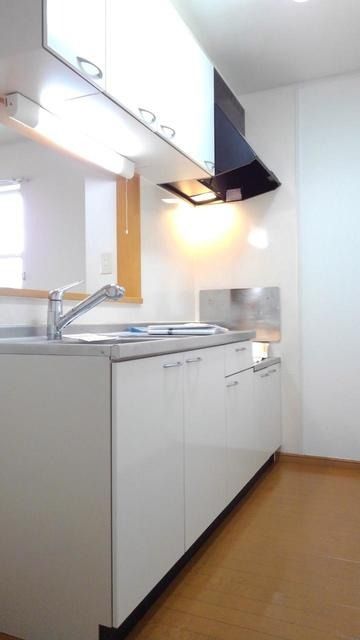 ��ʌ��������܎s��΋撇���Q���ڂ̃A�p�[�g�̃L�b�`��