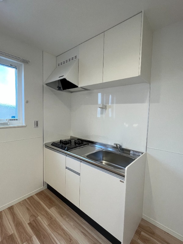 ��ʌ��������܎s����厚��v�ۗ̉Ƃ̃A�p�[�g�̃L�b�`��