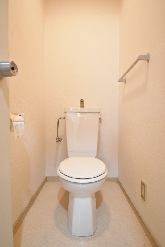 ��ʌ�����s������U���ڂ̃}���V�����̃g�C��