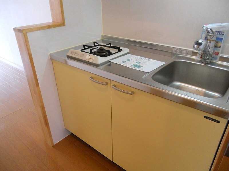 ��ʌ��k�����S�ɓޒ������R���ڂ̃A�p�[�g�̃L�b�`��