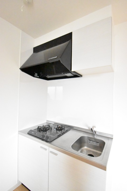 ��ʌ�����s�厚���̃A�p�[�g�̃L�b�`��