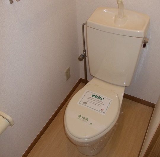 ��ʌ������s�V�P���̃A�p�[�g�̃g�C��