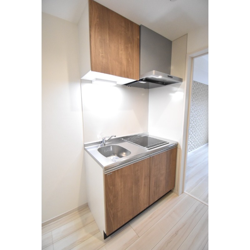 ��ʌ��������܎s�������a�c���Q���ڂ̃A�p�[�g�̃L�b�`��