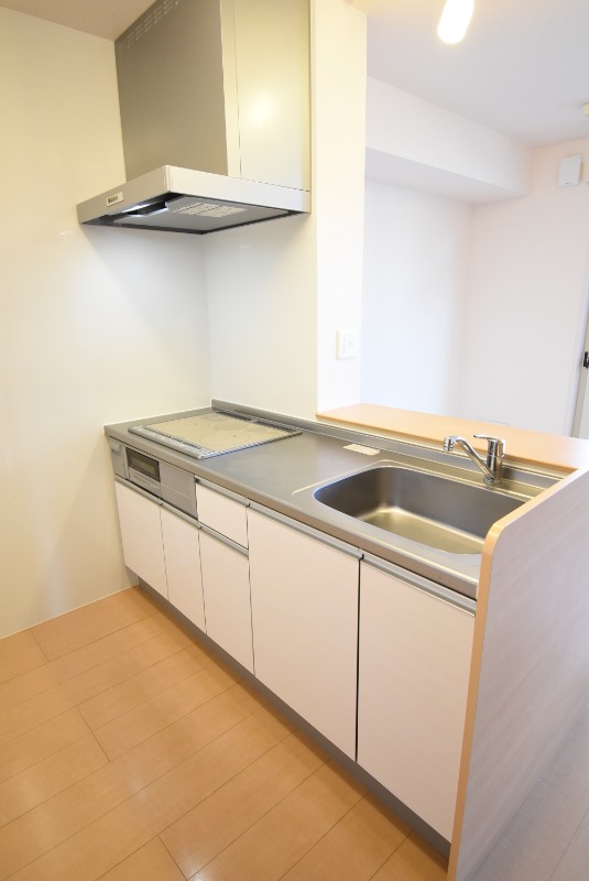 ��ʌ��������܎s�k�擌�听���P���ڂ̃A�p�[�g�̃L�b�`��