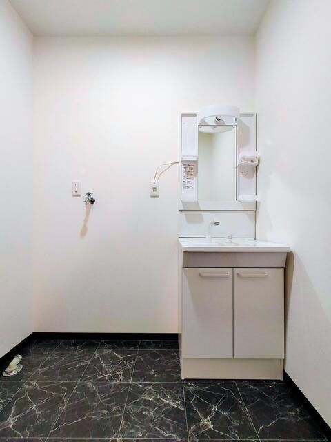 ��ʌ������s�V�P���̃}���V�����̂��̑�