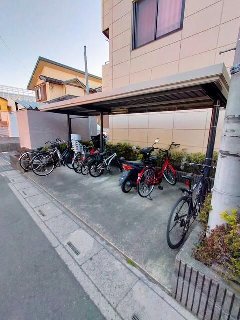 ��ʌ������s�V�P���̃}���V�����̂��̑�