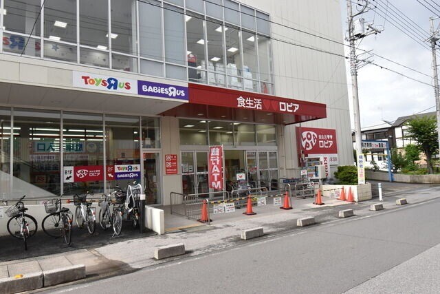 ��ʌ������s�V�P���̃}���V�����̎���