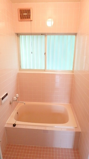 ��ʌ��������܎s��΋�厚�ÃP��̈�ˌ��Ẵo�X