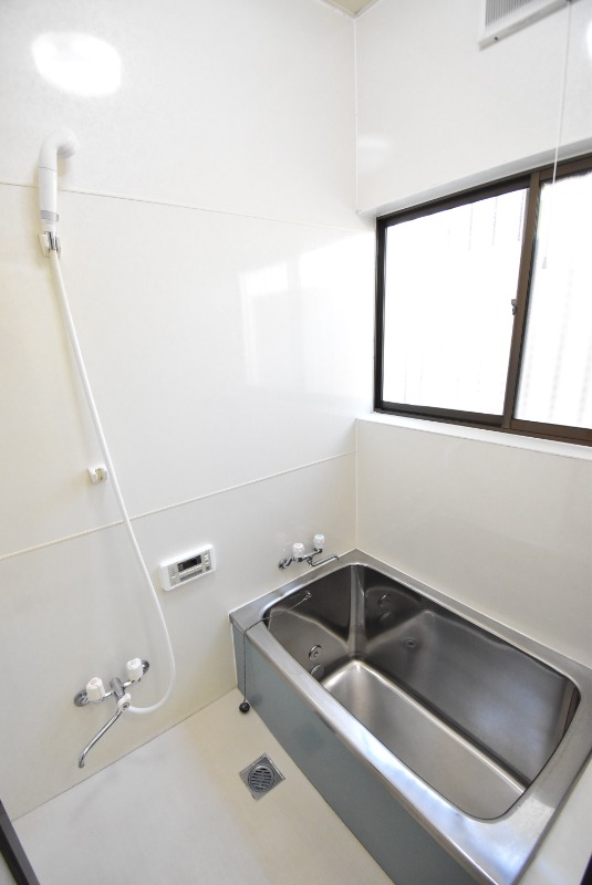 ��ʌ�����s�厚�_�˂̈�ˌ��Ẵo�X