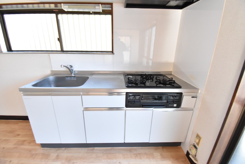 ��ʌ�����s�厚�_�˂̈�ˌ��ẴL�b�`��