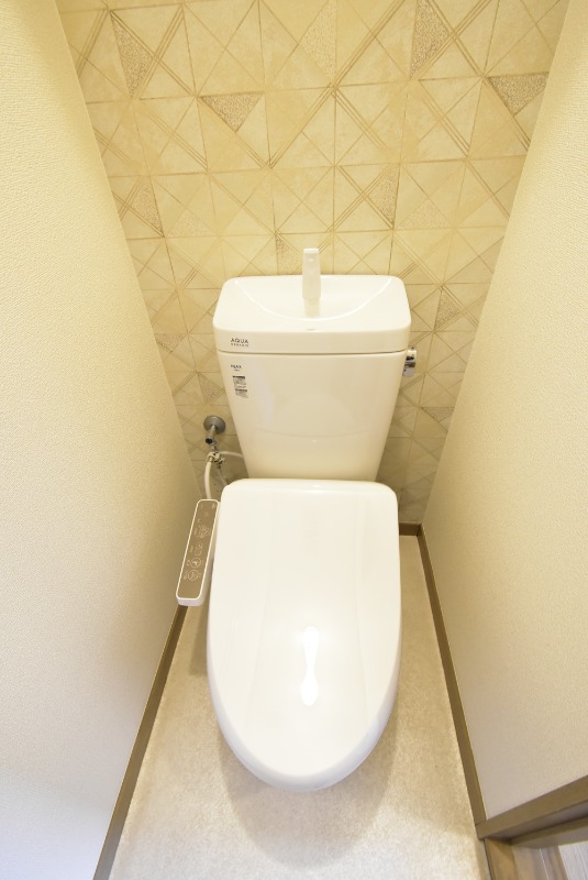 ��ʌ��t�����s�h���P���ڂ̃}���V�����̃g�C��