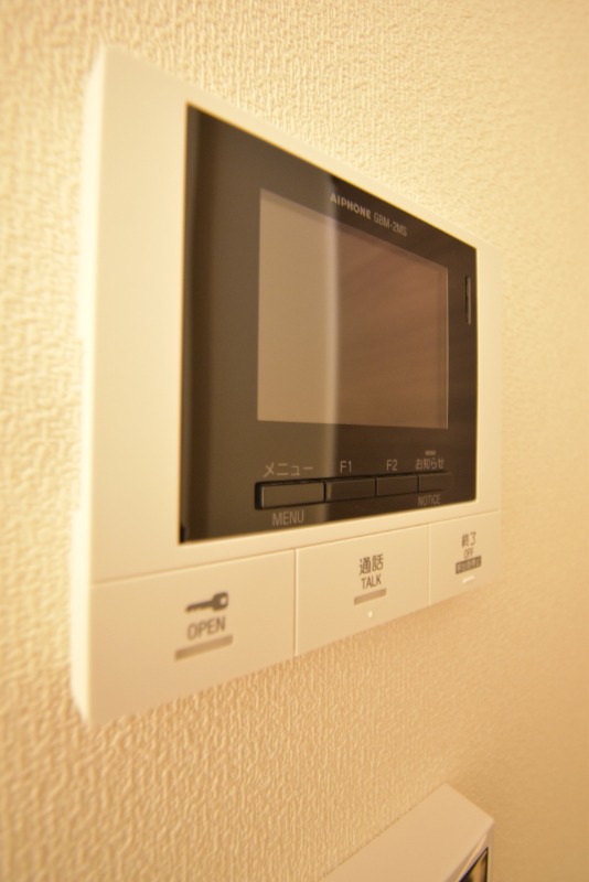 ��ʌ��������܎s�����扺�����S���ڂ̃}���V�����̂��̑�