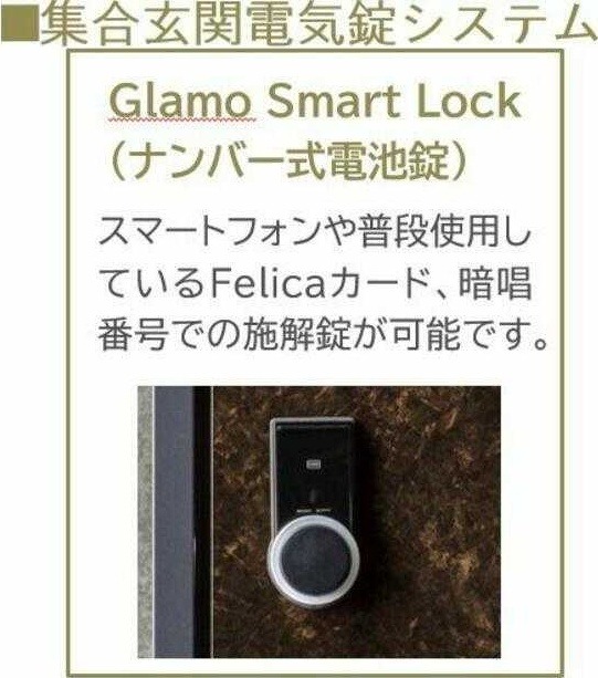 ��ʌ�����s�厚�v���q��V�c�̃}���V�����̂��̑�