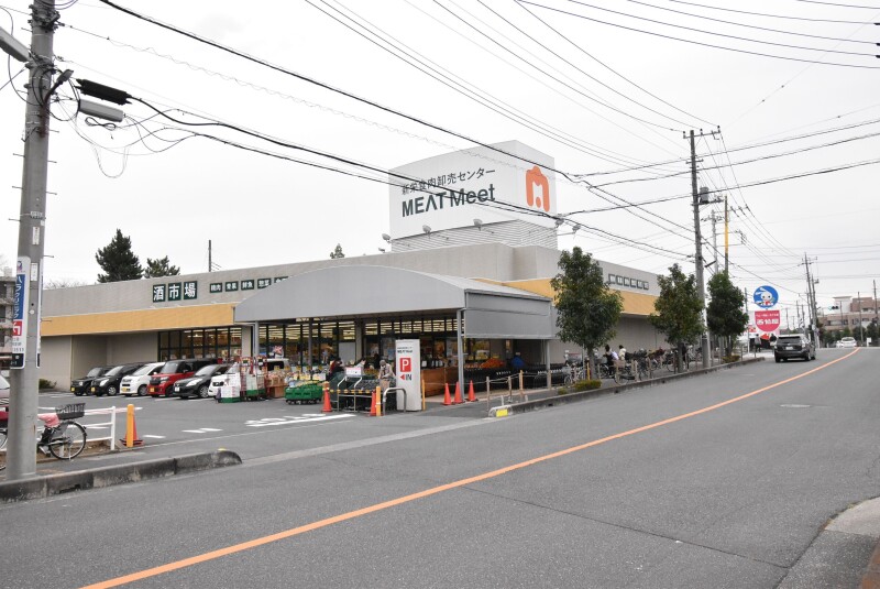 ��ʌ�����s�厚�v���q��V�c�̃}���V�����̎���