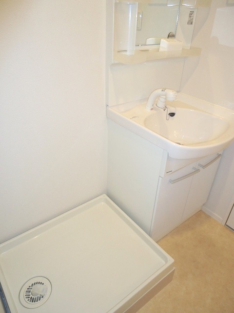 ��ʌ�����s���V���̃}���V�����̂��̑�