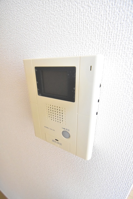 ��ʌ�����s���V���̃}���V�����̂��̑�