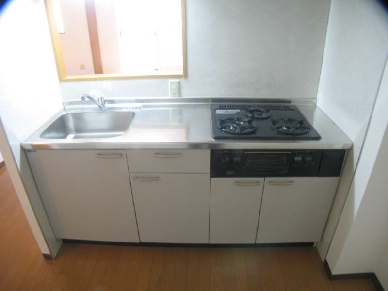 ��ʌ��k�����S�ɓޒ��w���S���ڂ̃}���V�����̃L�b�`��