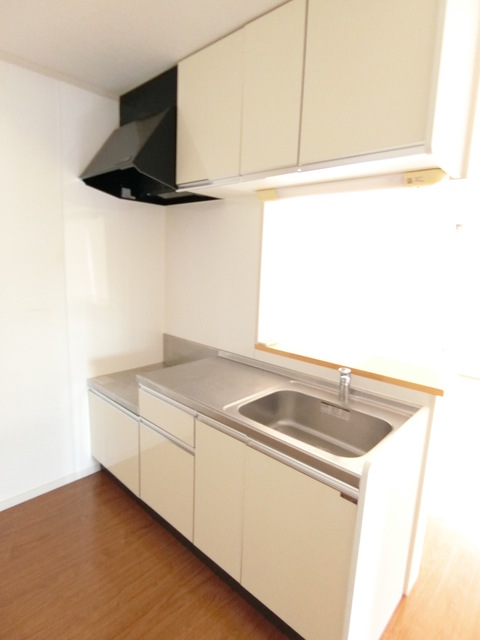 ��ʌ��k�����S�ɓޒ������Q���ڂ̃A�p�[�g�̃L�b�`��