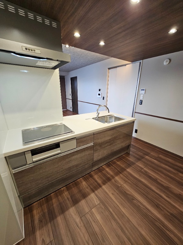 ��ʌ��������܎s��{��y�蒬�R���ڂ̃A�p�[�g�̃L�b�`��