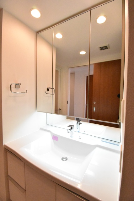 ��ʌ��������܎s��{��g�~���P���ڂ̃}���V�����̐��ʏ�