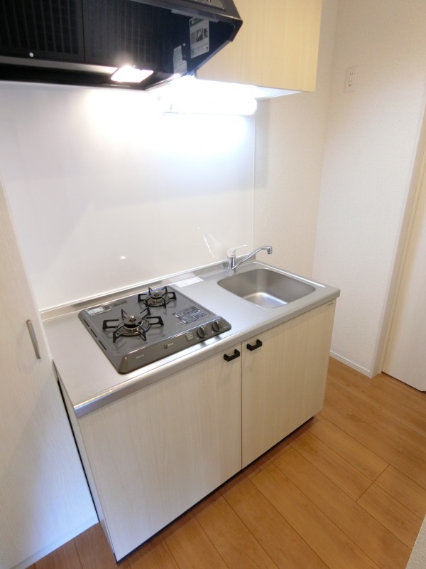 ��ʌ��������܎s�������a�c���Q���ڂ̃A�p�[�g�̃L�b�`��