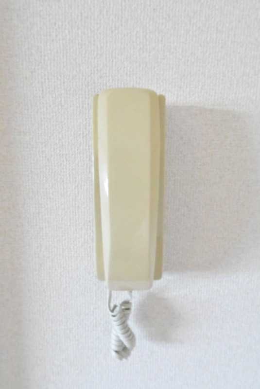 ��ʌ�����s�厚�ؑ]�C�̃}���V�����̂��̑�