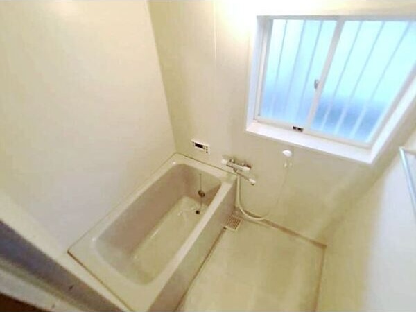 ��ʌ��k�����S�ɓޒ��h�U���ڂ̃A�p�[�g�̃o�X