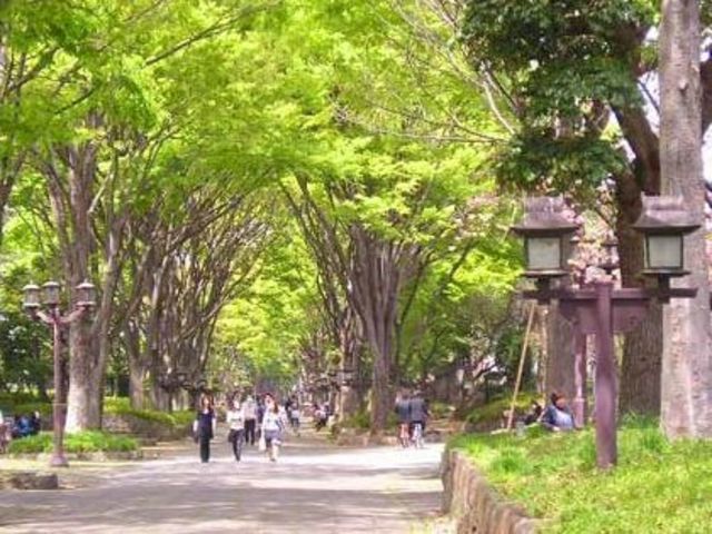 ��ʌ��������܎s��{���咬�R���ڂ̃A�p�[�g�̎���