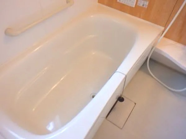 ��ʌ��������܎s����厚����{���̈�ˌ��Ẵo�X