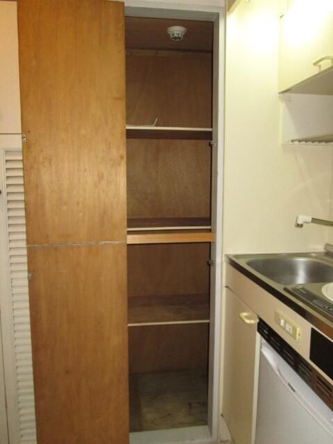 ��ʌ�����s������P���ڂ̃}���V�����̎��[